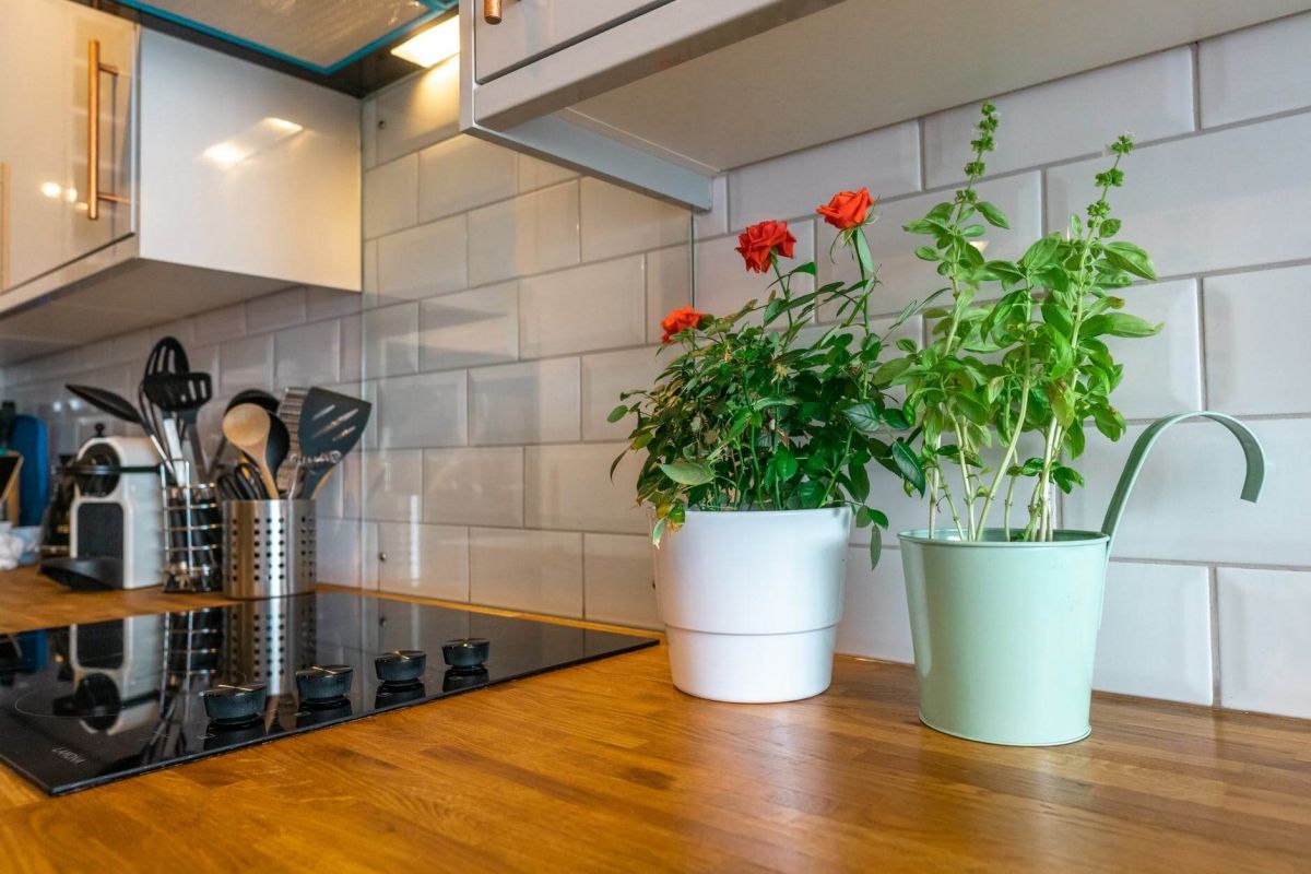 Planten in de keuken De Keukenrestyler